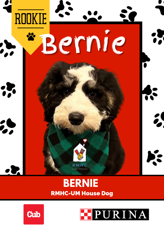 Bernie the House Dog